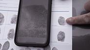 The Hidden Life of Thieves still