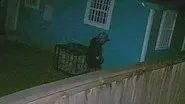 Her Husband's Murder still