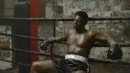 Great Performances at the Met: Champion still