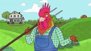 Chickens still