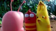 Fireplug still