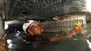 Crevice of Cruelty still