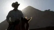 Crossing Borders: Mexican Bison still