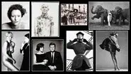 Richard Avedon: Darkness and Light still