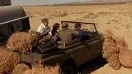 The Black Jet still