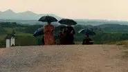 Wild Flower still