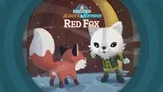 Red Fox still