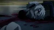 A Tiger May Die, but it Leaves it's Skin still