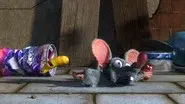 Life of a Rat still