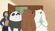 Occupy Bears still