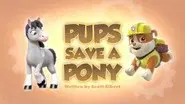 Pups Save a Pony still
