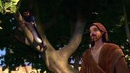 Zacchaeus still