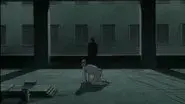 Night of the Execution still