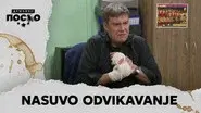 2257 Nasuvo odvikavanje still