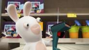 R.C. Rabbid still