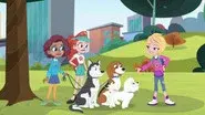 Doggone Disaster still