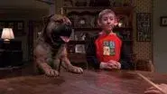 Dewey's Dog still