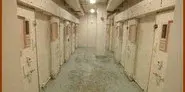 The New Asylums still