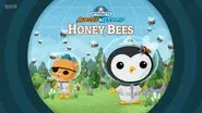 Honeybees still