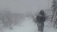Fight, Flight or Freeze still