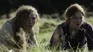 Pecheneg still