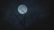 When Darkness Falls still