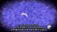 Are There Aliens Inside Us? still