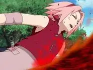 Sakura's Tears still