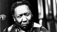 Muddy Waters: Can't Be Satisfied still