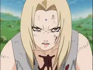 The Fifth Hokage! A Life on the Line! still