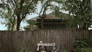 Swingerii still