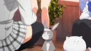 2nd Bunny: Grey Rabbit and Cinderella still