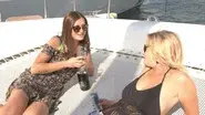 Panic at the Deck-o still