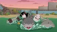 SeaWorld Is Hell still