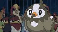 A Staravia Is Born! still