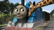 Thomas's Tall Friend still