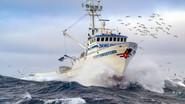 King Crab Derby still