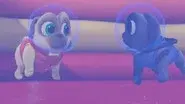 Ice, Ice Puggy still