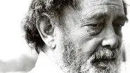 Waldo Salt: A Screenwriter's Journey still