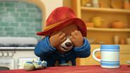 Paddington Plays Hide & Seek still