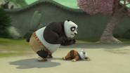 Shifu's Back! still