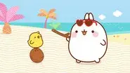 The Coconut still
