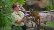 Kris Becker: Animal Keeper still