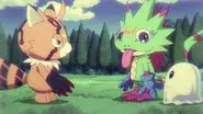Little Courage still