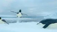 Southern Ocean still