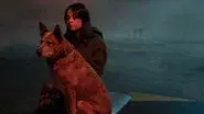 The Dog's Honest Truth still