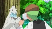 The Mystery of the Missing Cubchoo! still