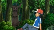 Forging Forest Friendships! still