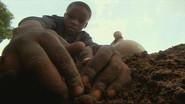 Master of the Killer Ants still