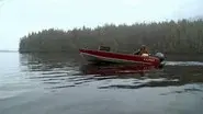 Sea Bear: Alaska Spring Bear and Seafood still